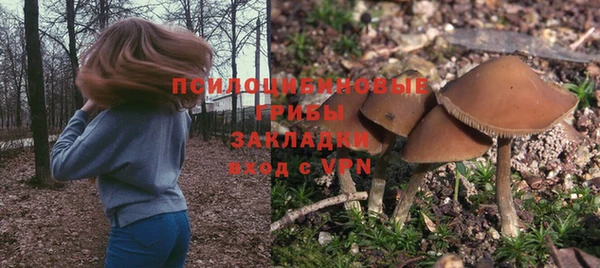 СК Куйбышев