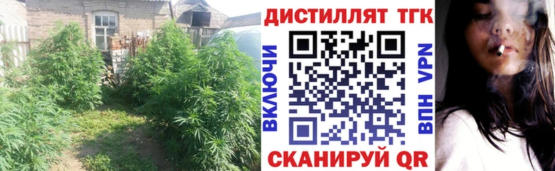 магазин продажи   Казань  kraken ТОР  ТГК концентрат 